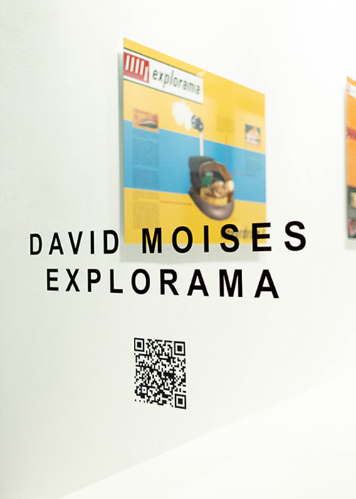 DAVID MOISES